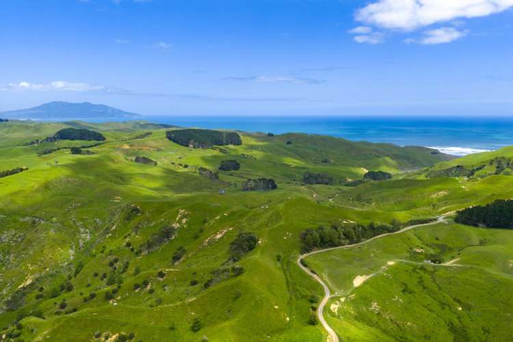 Te Akau Coast Road Te Akau_3