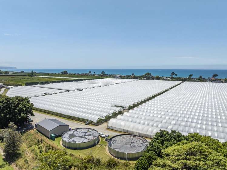 Thurley Place Bay View_12