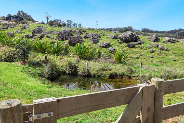 217 Wiroa Road Kerikeri_20