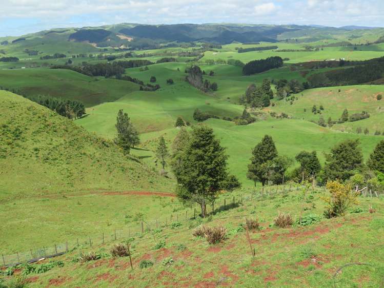 401 Maungatawhiri Road Raglan_14