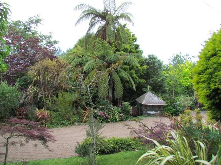 10a Hobson Street Waihi_5