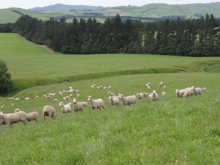 573 Glenmark Drive Waipara_7