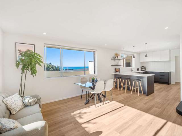 113 Reservoir Road Oamaru_3