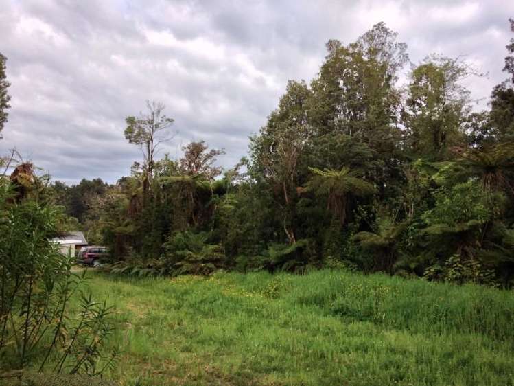 7 Punga Grove Lake Kaniere_15