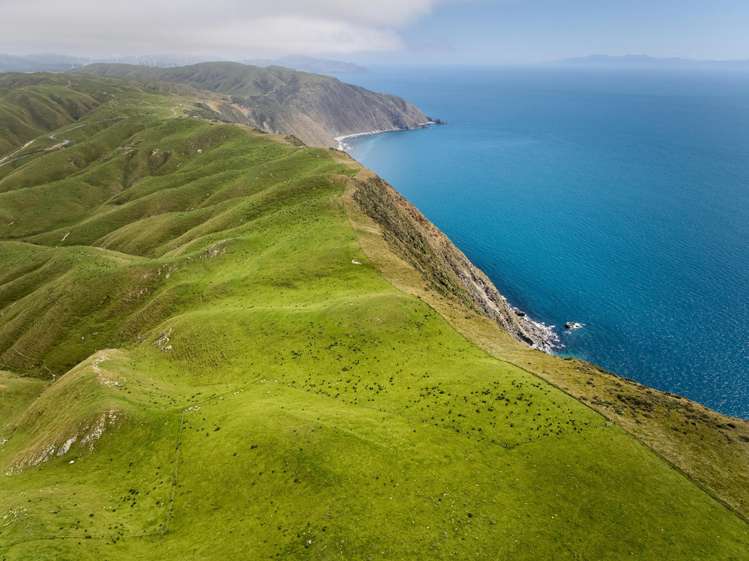 Lot 1 and 4 320 Boom Rock Road Ohariu Valley_5