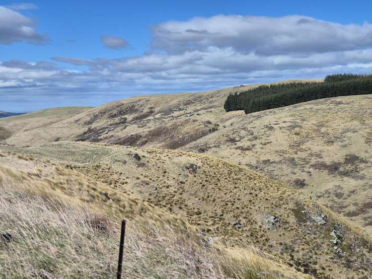 Golden Bar Road Dunback_8