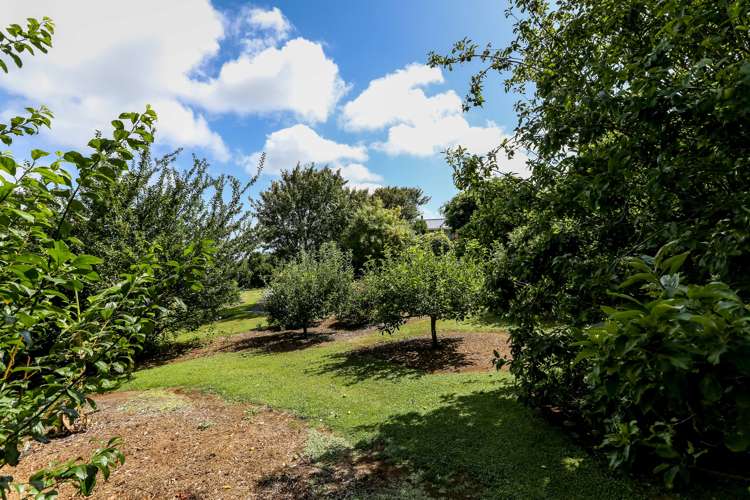 790 Frankley Road Hurworth_7