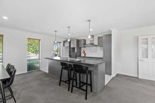 35 Dryden Avenue Rolleston_3