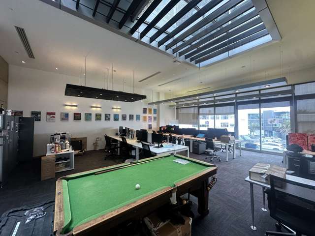 Mezzanine/38 Ponsonby Road Grey Lynn_4