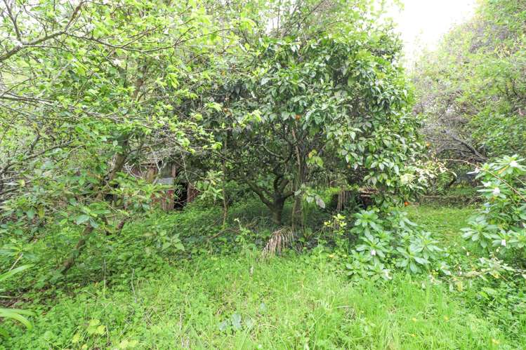 111 Currie Street Thames_5