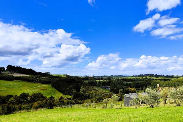 463 King Road Mangawhai_2