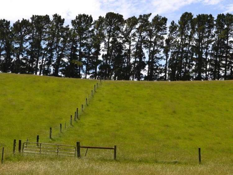 1092 The Peaks Road Hawarden_16