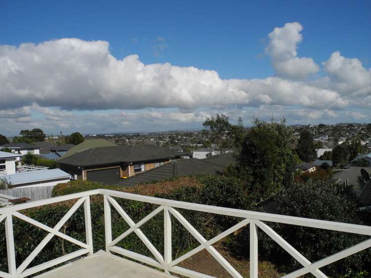 163 Cook Street Howick_13