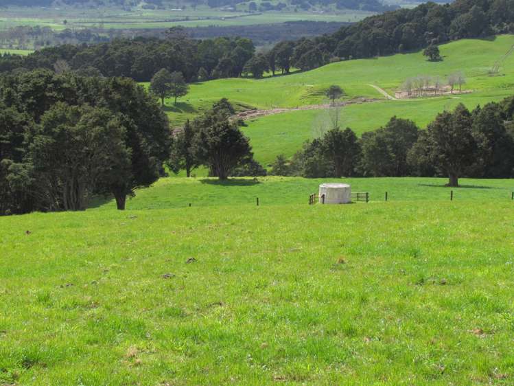 Tremain Road Ruatangata West_26