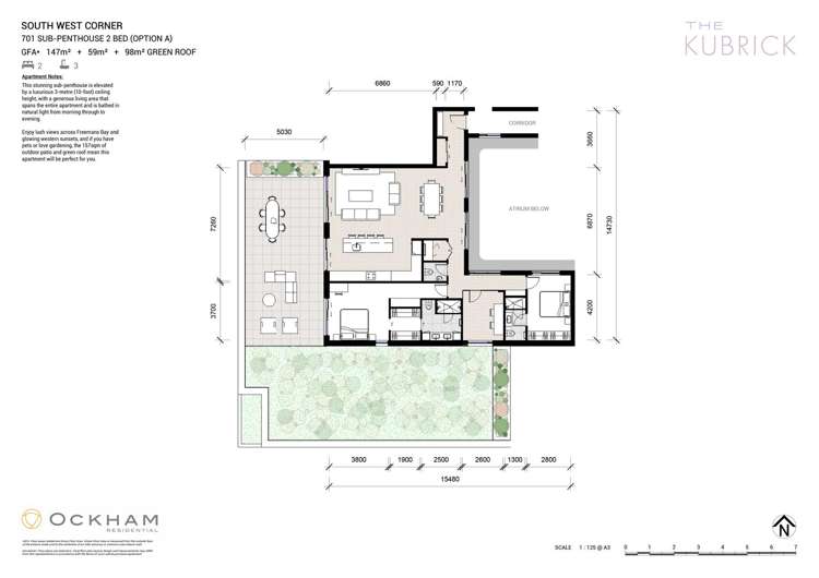 8 Pratt Street Freemans Bay_17