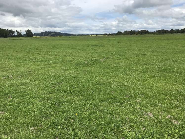 112 Mountain View Road Hikurangi_7