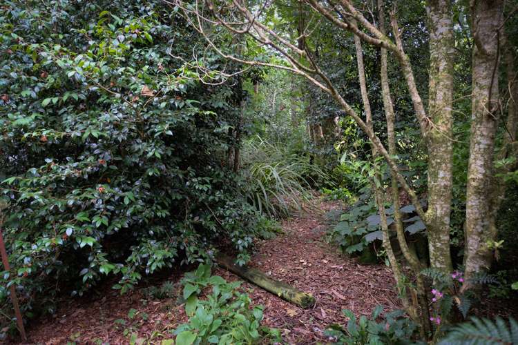 10 Walker Street Riverton_11