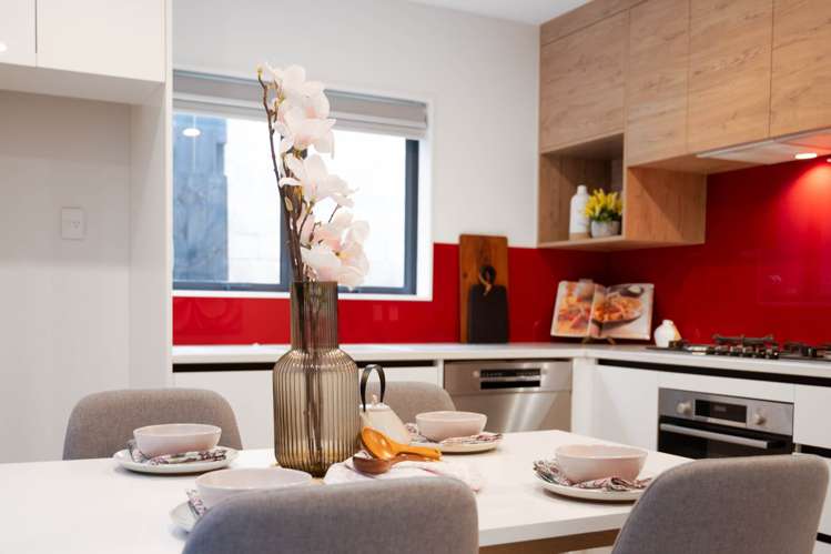 2B Leinster Street Avondale_11