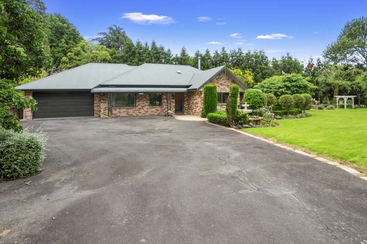 21 Thorn Road Kaimai_3