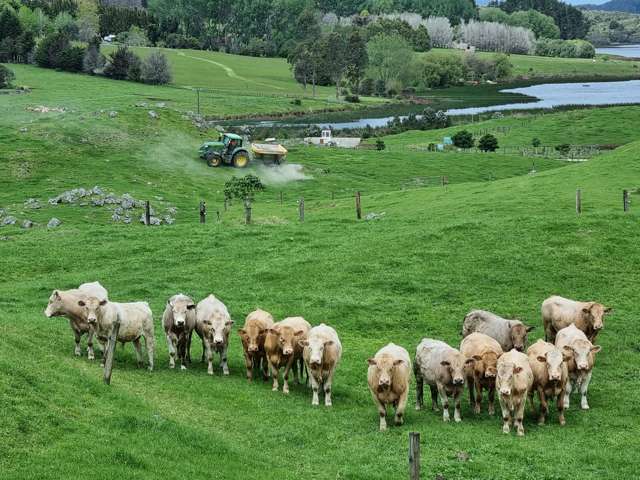 267 Ludbrook Road Pakaraka_4