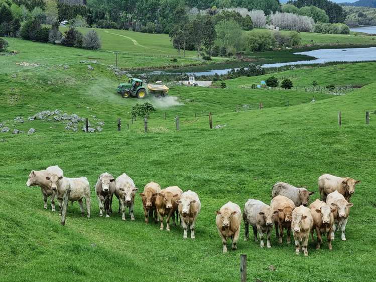 267 Ludbrook Road Pakaraka_4