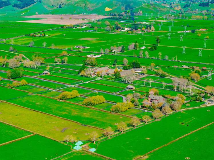 122 Rotoorangi Road Cambridge_38