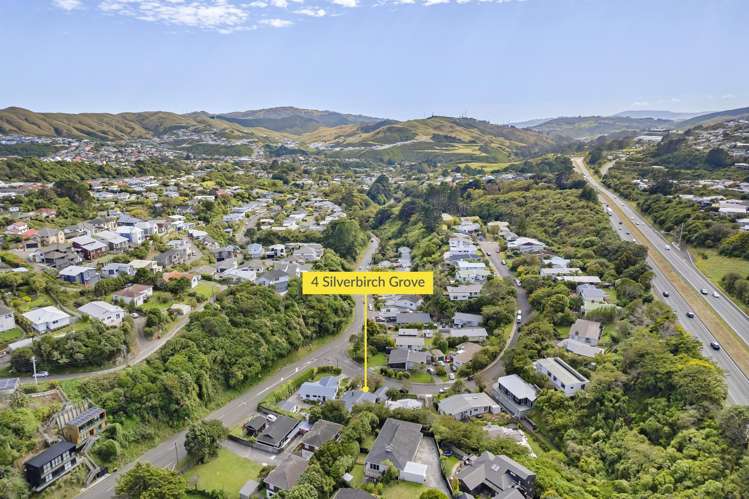 4 Silverbirch Grove Churton Park_1