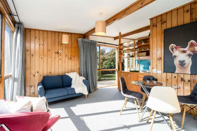 61 Braeview Crescent Maori Hill_3