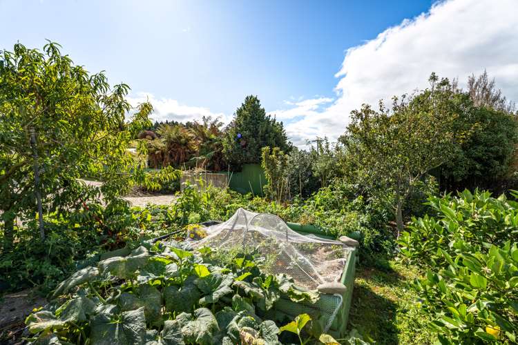 38c Frome Street Oamaru_16