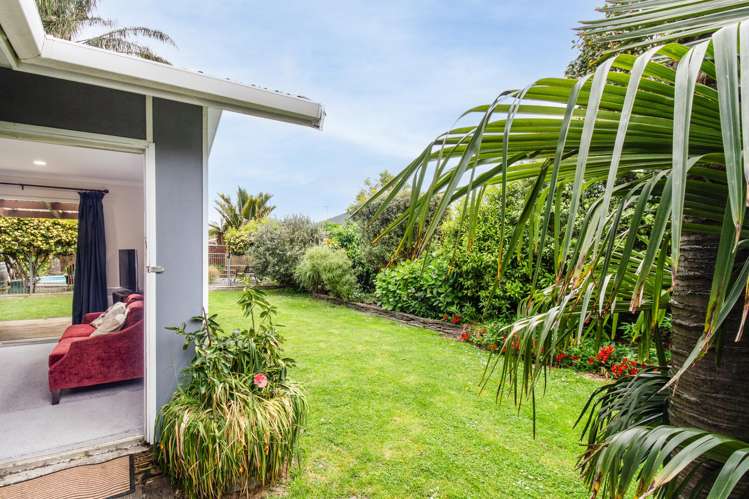 178 Vigor Brown Street Napier South_13