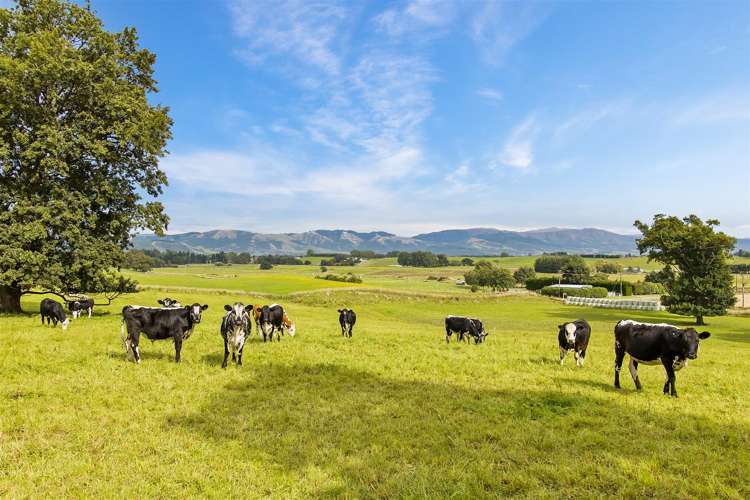 302 Timaru Road Waimate_22