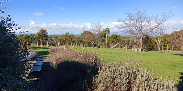 36 Boar Bush Gully Road Featherston_12