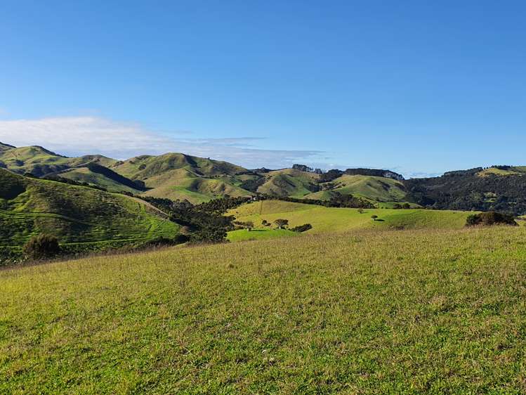 240 Waiheke Road Waiheke Island_9