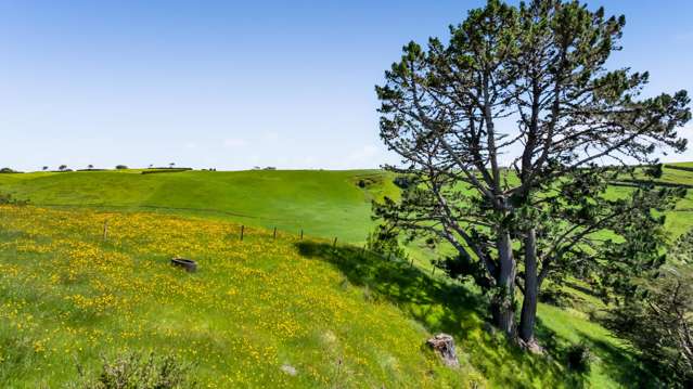 32C Bird Road Bird Road_3