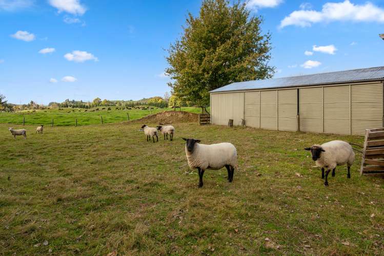 1561 Whirinaki Valley Road Ngakuru_23