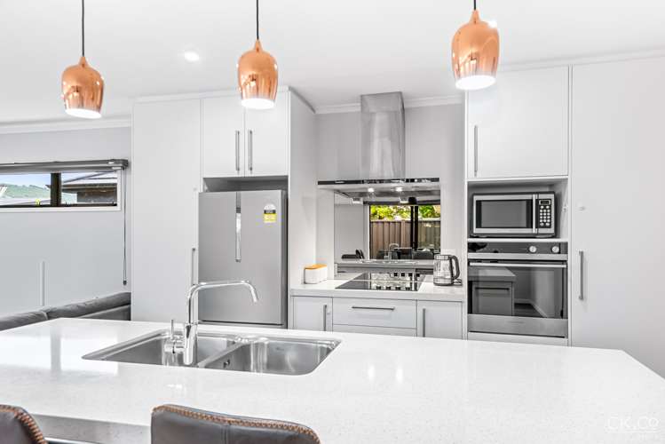 6 Pattullo Crescent Wallaceville_8