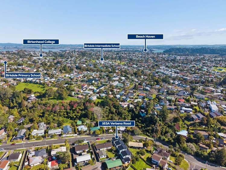 163A Verbena Road Birkdale_13