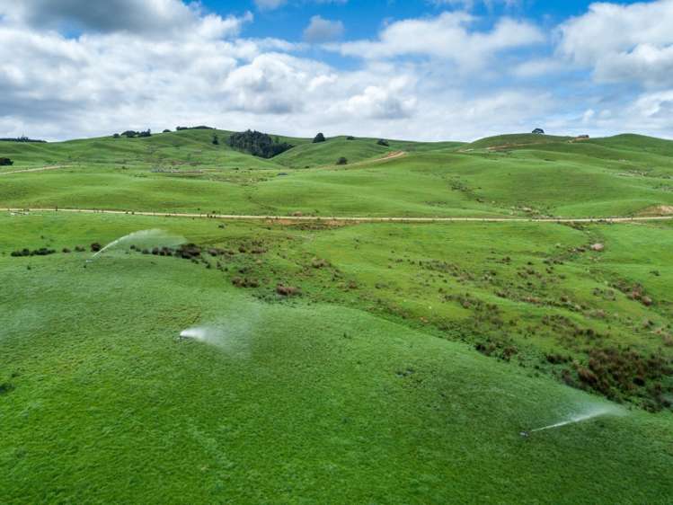 1427 Mititai Road Arapohue_15