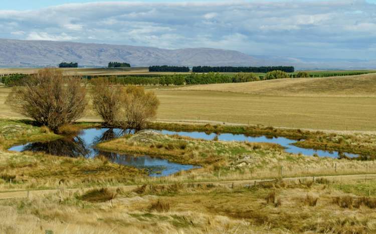 305 Bypass Road Ranfurly_22