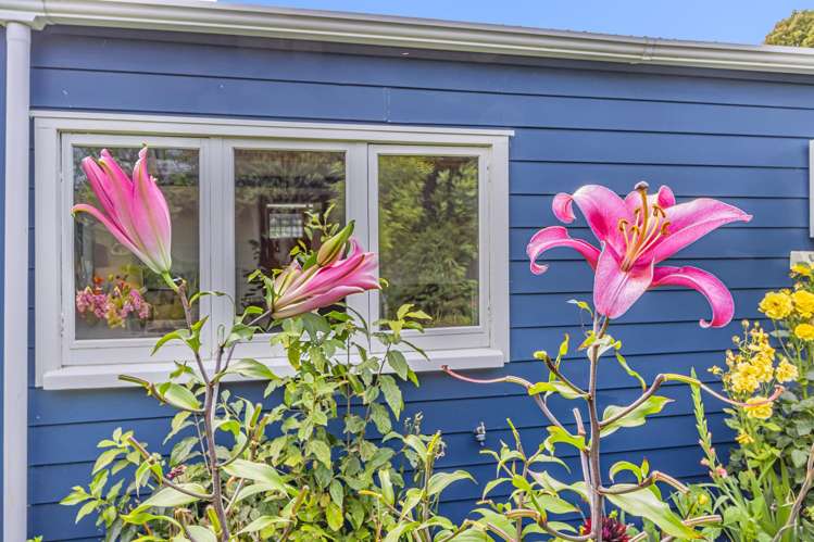 123 Waltham Road Sydenham_9