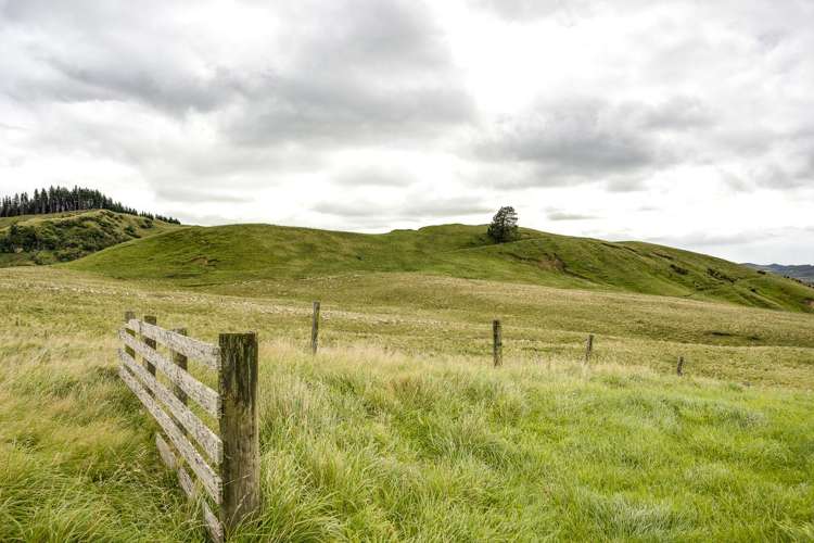 4332 Puketitiri Road Hastings Country_12