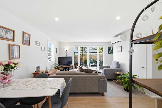 36D Bletsoe Avenue Spreydon_3