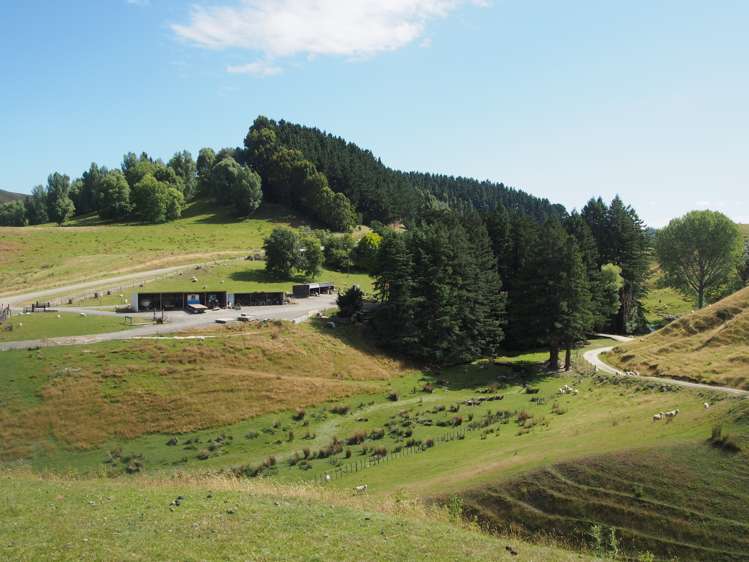 746 Te Awa Road Central Hawkes Bay Coastal_10