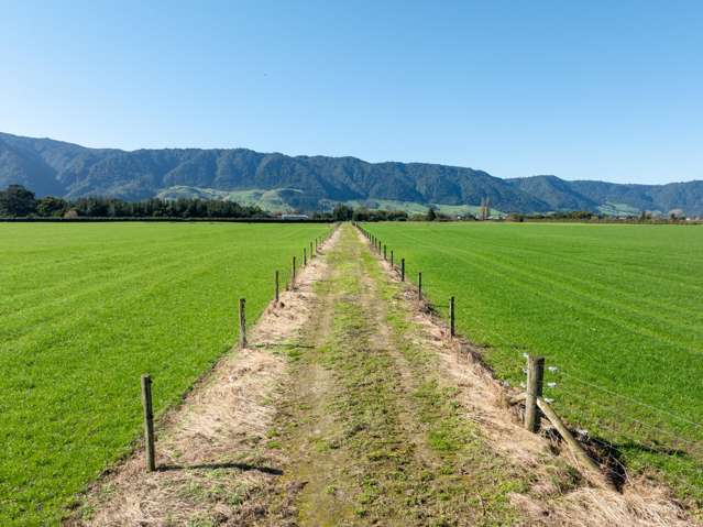 Maiseys Road Matamata_3