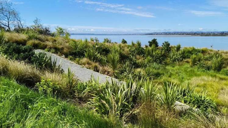 13 Sails Road Hobsonville_6