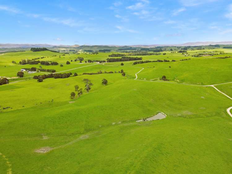 268 Kiritaki Road Dannevirke_14