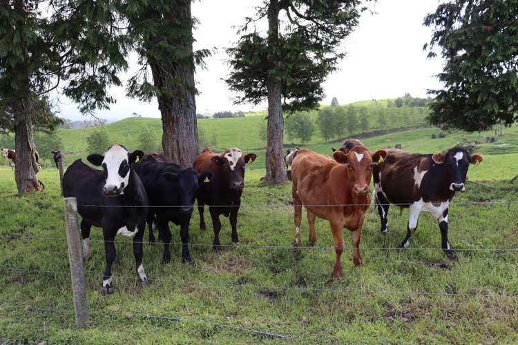 346 Lincoln Road Inglewood_2