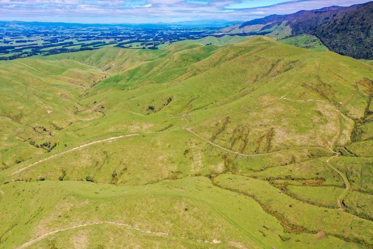 412 Tamaki West Road Dannevirke_6