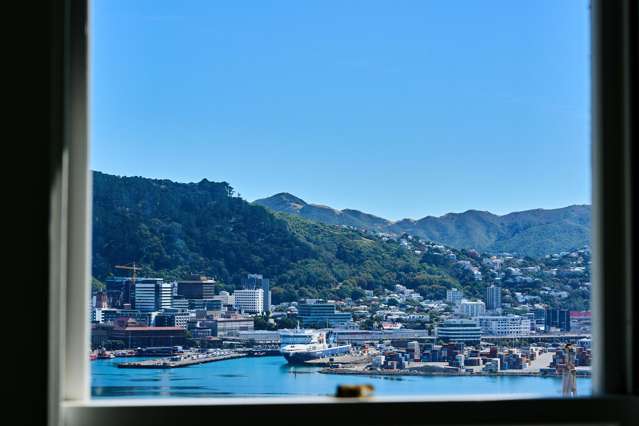1 Moeller Street Mount Victoria_3