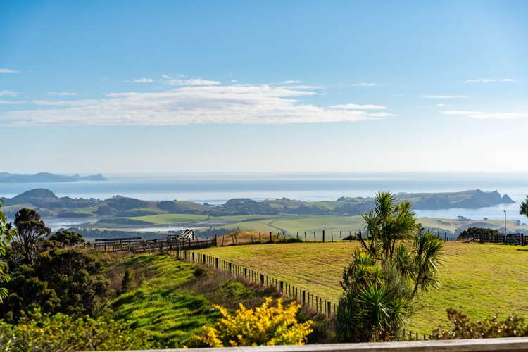 224 Harambee Road Taiharuru_11